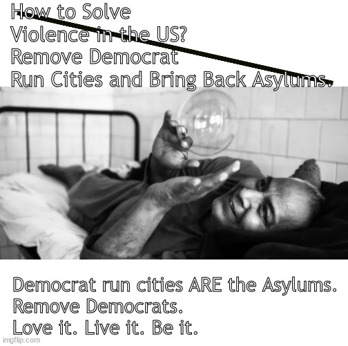They are of a lunatic nature. | How to Solve Violence in the US? 
Remove Democrat Run Cities and Bring Back Asylums. Democrat run cities ARE the Asylums.

Remove Democrats.
Love it. Live it. Be it. | image tagged in memes,politics,uniparty,biden,democrats,republicans | made w/ Imgflip meme maker