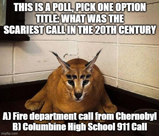 bibically accurate floppa | THIS IS A POLL, PICK ONE OPTION
TITLE: WHAT WAS THE SCARIEST CALL IN THE 20TH CENTURY; A) Fire department call from Chernobyl
B) Columbine High School 911 Call | image tagged in bibically accurate floppa | made w/ Imgflip meme maker