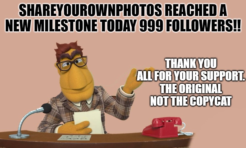 https://imgflip.com/m/ShareYourOwnPhotos | SHAREYOUROWNPHOTOS REACHED A NEW MILESTONE TODAY 999 FOLLOWERS!! THANK YOU ALL FOR YOUR SUPPORT.
THE ORIGINAL NOT THE COPYCAT | image tagged in news,999 followers,kewlew | made w/ Imgflip meme maker