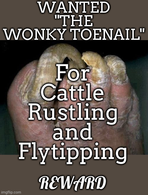 Toenails | WANTED
"THE
WONKY TOENAIL" For
Cattle
Rustling
and
Flytipping REWARD | image tagged in toenails | made w/ Imgflip meme maker
