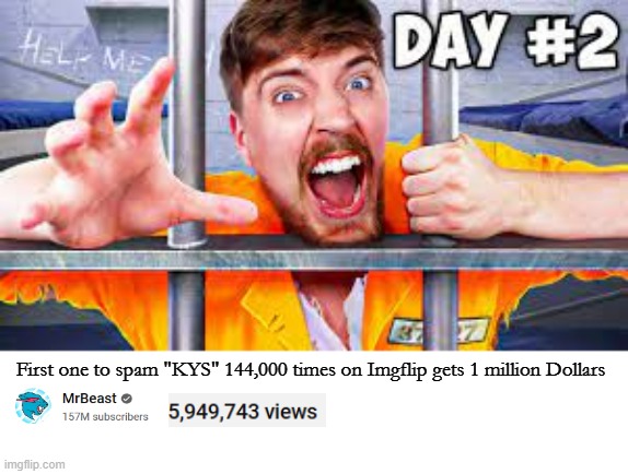 An extra million for those who manage to not lose their mod rights | First one to spam "KYS" 144,000 times on Imgflip gets 1 million Dollars | image tagged in mr beast | made w/ Imgflip meme maker