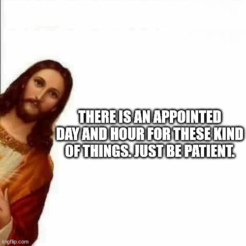 Jesus Christ says | THERE IS AN APPOINTED DAY AND HOUR FOR THESE KIND OF THINGS. JUST BE PATIENT. | image tagged in jesus christ says | made w/ Imgflip meme maker
