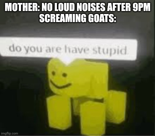 do you are have stupid | MOTHER: NO LOUD NOISES AFTER 9PM
SCREAMING GOATS: | image tagged in do you are have stupid,goat singing | made w/ Imgflip meme maker