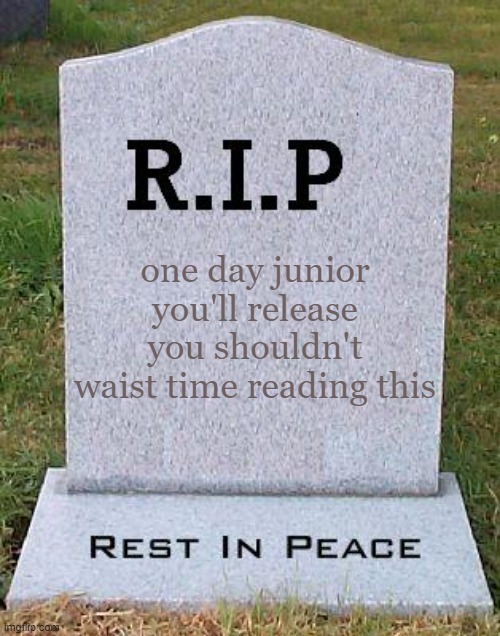 RIP headstone | one day junior you'll release you shouldn't waist time reading this | image tagged in rip headstone | made w/ Imgflip meme maker