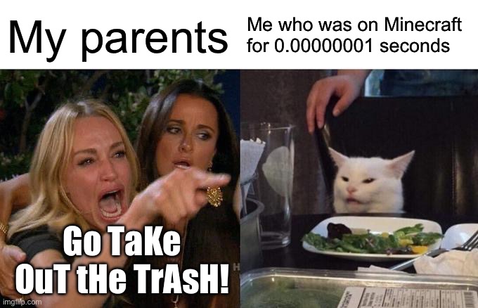 Meme #34 | My parents; Me who was on Minecraft for 0.00000001 seconds; Go TaKe OuT tHe TrAsH! | image tagged in memes,two women yelling at a cat,minecraft,parents | made w/ Imgflip meme maker