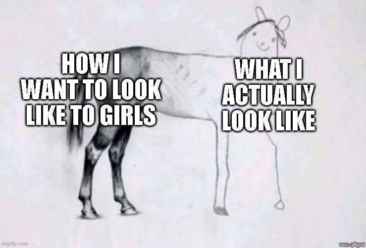 No girls? | HOW I WANT TO LOOK LIKE TO GIRLS; WHAT I ACTUALLY LOOK LIKE | image tagged in horse drawing,memes,funny,true story,relatable | made w/ Imgflip meme maker