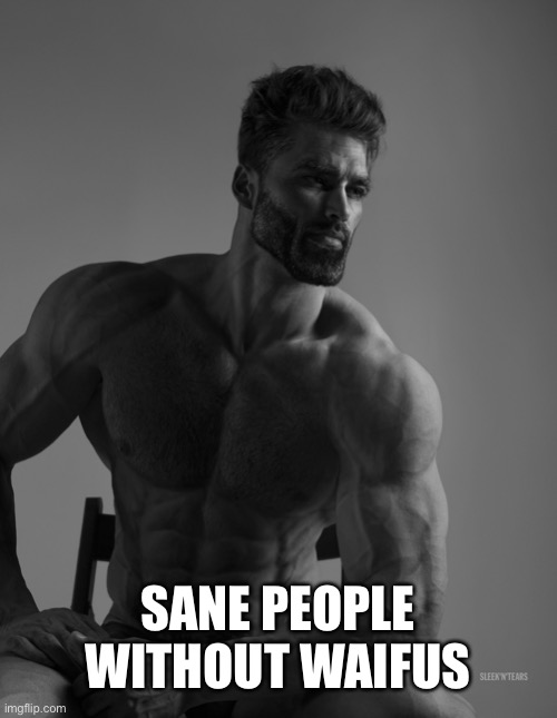 Giga Chad | SANE PEOPLE WITHOUT WAIFUS | image tagged in giga chad | made w/ Imgflip meme maker