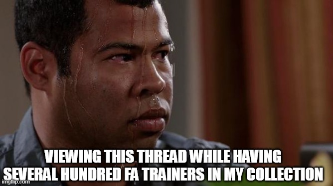 sweating bullets | VIEWING THIS THREAD WHILE HAVING SEVERAL HUNDRED FA TRAINERS IN MY COLLECTION | image tagged in sweating bullets | made w/ Imgflip meme maker