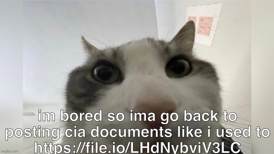 fcfs link | im bored so ima go back to posting cia documents like i used to
https://file.io/LHdNybviV3LC | made w/ Imgflip meme maker