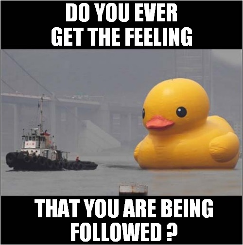 What The  .... Duck ! | DO YOU EVER GET THE FEELING; THAT YOU ARE BEING
FOLLOWED ? | image tagged in giant duck,feeling,followed | made w/ Imgflip meme maker