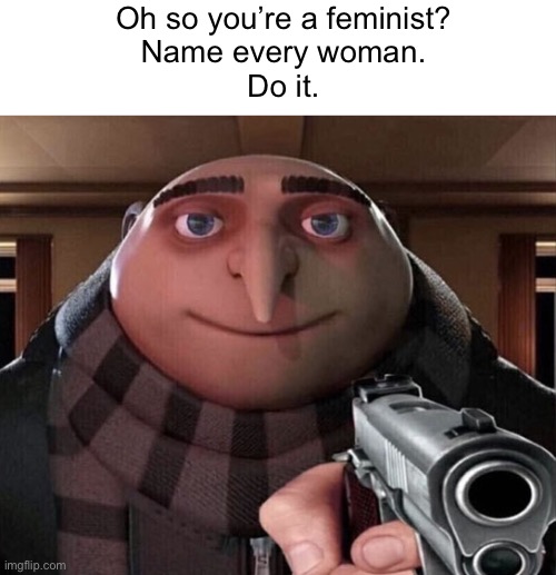 Hehehe | Oh so you’re a feminist?
Name every woman.
Do it. | image tagged in gru gun,memes,anti-feminism | made w/ Imgflip meme maker