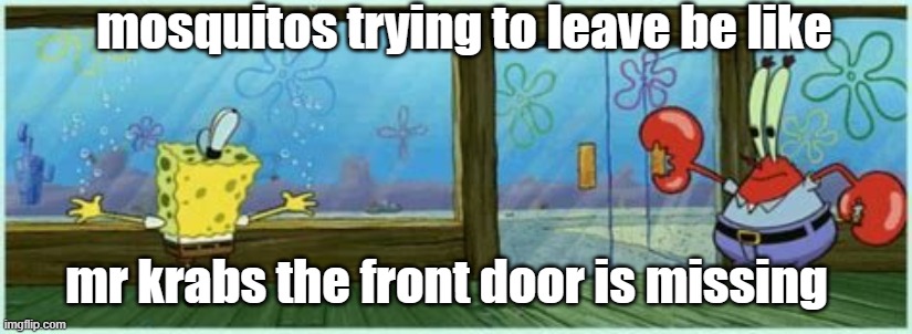 mosquitos trying to leave be like mr krabs the front door is missing | image tagged in mr krabs the front door is missing | made w/ Imgflip meme maker