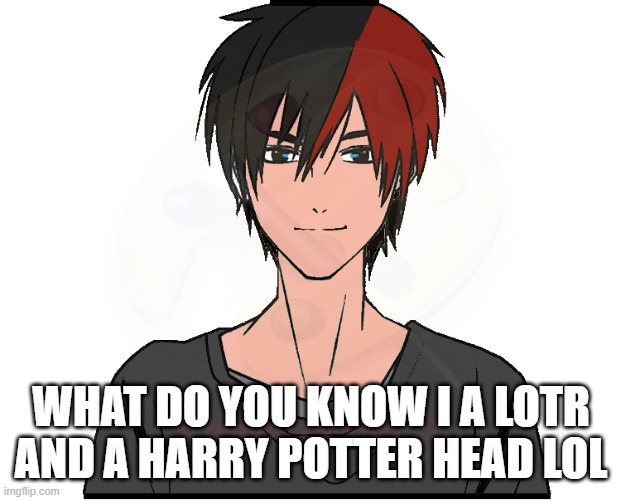 Ethan's OC | WHAT DO YOU KNOW I A LOTR AND A HARRY POTTER HEAD LOL | image tagged in ethan's oc | made w/ Imgflip meme maker