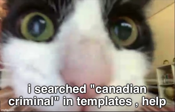 . | i searched "canadian criminal" in templates , help | made w/ Imgflip meme maker
