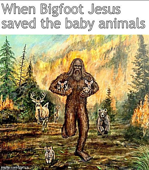 He saved the baby animals from death | image tagged in memes,middle school | made w/ Imgflip meme maker