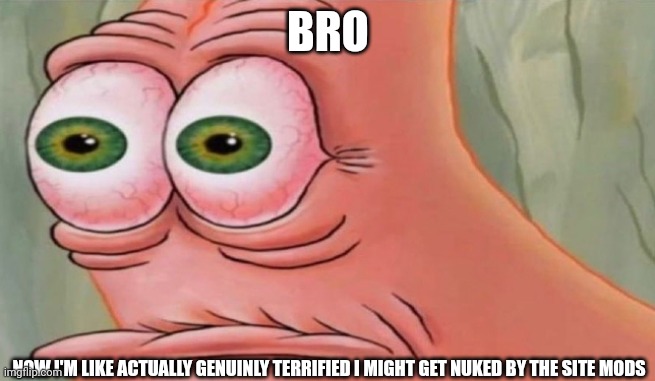 Patrick Stare | BRO; NOW I'M LIKE ACTUALLY GENUINLY TERRIFIED I MIGHT GET NUKED BY THE SITE MODS | image tagged in patrick stare | made w/ Imgflip meme maker