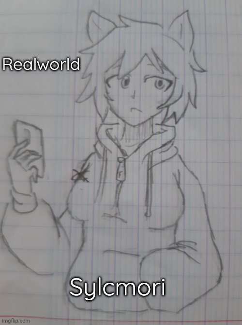 Realworld Sylcmori | Realworld; Sylcmori | image tagged in realworld sylcmori | made w/ Imgflip meme maker