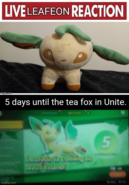 Yeeeeeeaaaa | 5 days until the tea fox in Unite. | image tagged in live leafeon reaction | made w/ Imgflip meme maker