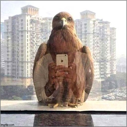 Interesting Selfie | image tagged in selfie,reflection | made w/ Imgflip meme maker