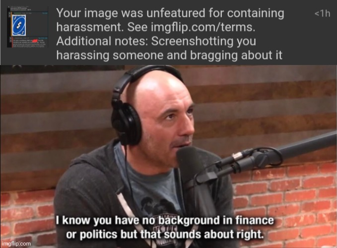 image tagged in joe rogan - sounds about right | made w/ Imgflip meme maker