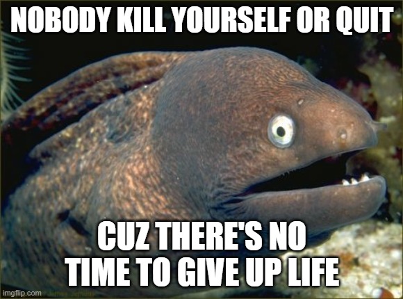 IM NEVER GIVING UP | NOBODY KILL YOURSELF OR QUIT; CUZ THERE'S NO TIME TO GIVE UP LIFE | image tagged in memes,bad joke eel | made w/ Imgflip meme maker