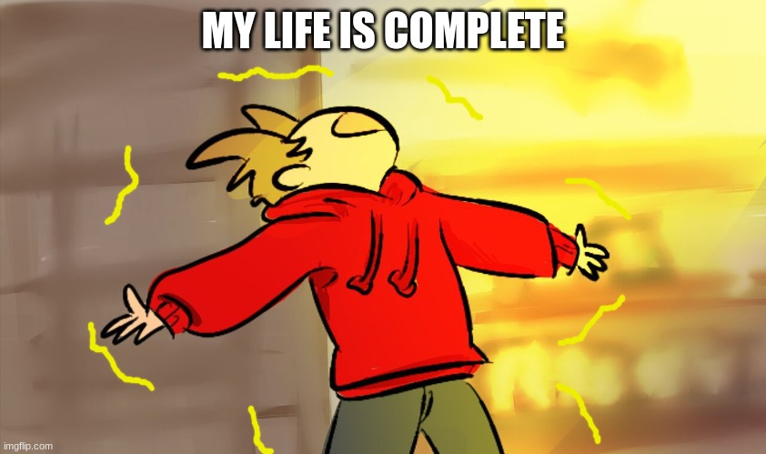 tord woah | MY LIFE IS COMPLETE | image tagged in tord woah | made w/ Imgflip meme maker