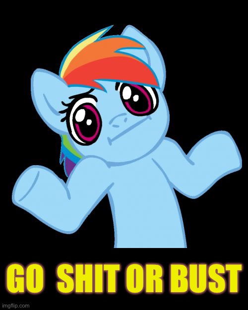 GO  SHIT OR BUST | image tagged in memes,pony shrugs | made w/ Imgflip meme maker
