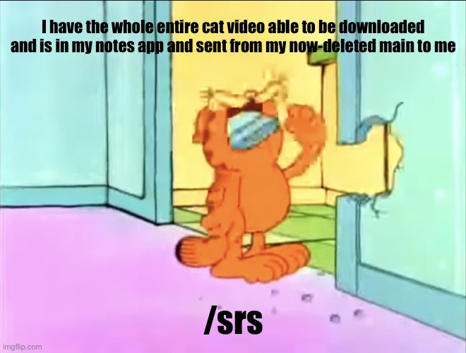 Garfield drywall | I have the whole entire cat video able to be downloaded and is in my notes app and sent from my now-deleted main to me; /srs | image tagged in garfield drywall | made w/ Imgflip meme maker