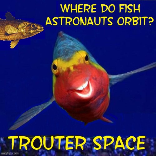 One Giant Fin Flip for Fish-Kind | image tagged in vince vance,fish,aquariums,memes,outer space,astronaut | made w/ Imgflip meme maker
