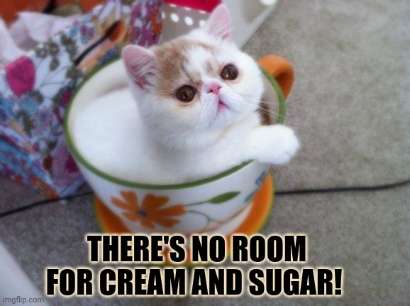 Coffee | THERE'S NO ROOM FOR CREAM AND SUGAR! | image tagged in coffee,cat,cat in a mug | made w/ Imgflip meme maker