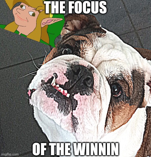 Winnin's focus | THE FOCUS; OF THE WINNIN | image tagged in winnin | made w/ Imgflip meme maker
