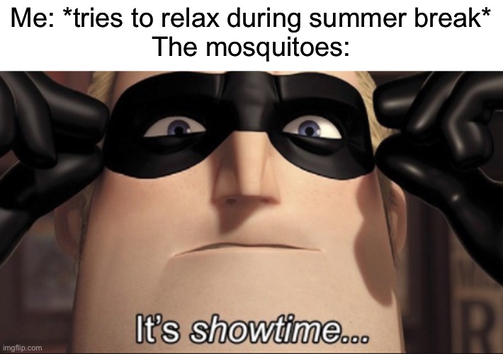 haha bites go brrr | Me: *tries to relax during summer break*
The mosquitoes: | image tagged in it's showtime,mosquito,summer vacation,memes,funny,oh wow are you actually reading these tags | made w/ Imgflip meme maker