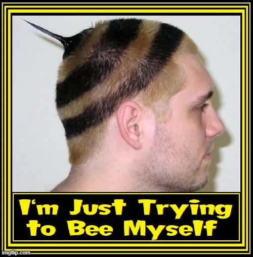 To Bee or Not To Bee:  That is the Haircut! | image tagged in vince vance,bees,haircut,memes,stinger,bad hair day | made w/ Imgflip meme maker