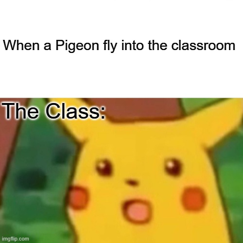 Pigeon | When a Pigeon fly into the classroom; The Class: | image tagged in memes,surprised pikachu,school memes | made w/ Imgflip meme maker