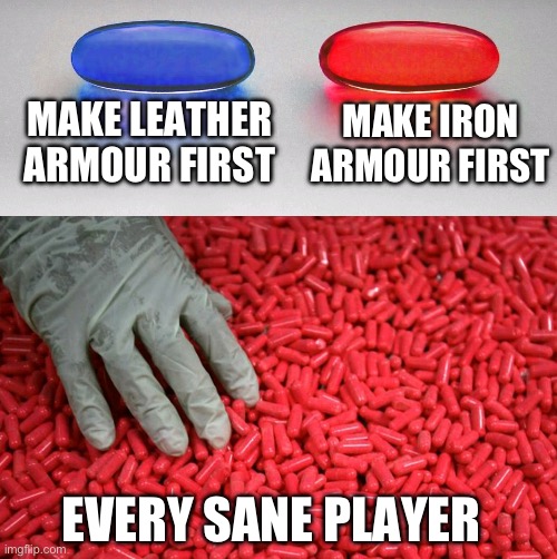 Blue pill or red pill | MAKE LEATHER ARMOUR FIRST; MAKE IRON ARMOUR FIRST; EVERY SANE PLAYER | image tagged in blue or red pill,minecraft,armour | made w/ Imgflip meme maker
