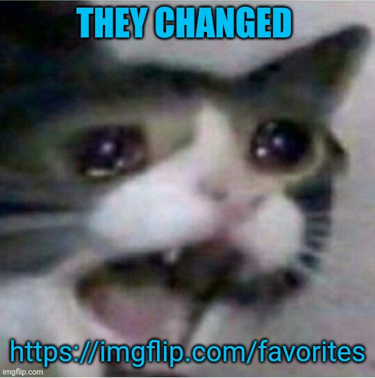 crying cat | THEY CHANGED https://imgflip.com/favorites | image tagged in crying cat | made w/ Imgflip meme maker