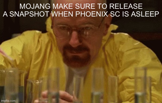 mojang do he like this tho | MOJANG MAKE SURE TO RELEASE A SNAPSHOT WHEN PHOENIX SC IS ASLEEP | image tagged in walter white cooking,mojang,minecraft,minecraft memes,phoenix sc | made w/ Imgflip meme maker