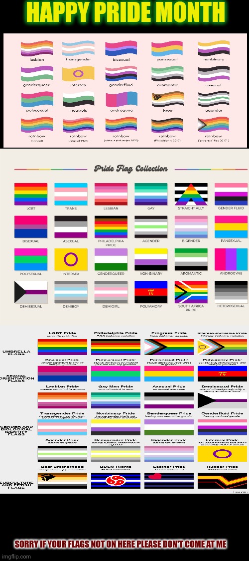 HAPPY PRIDE MONTH ! | HAPPY PRIDE MONTH; SORRY IF YOUR FLAGS NOT ON HERE PLEASE DON'T COME AT ME | image tagged in pride month,flag,pronouns,sexuality,gender,love yourself | made w/ Imgflip meme maker