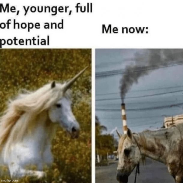 image tagged in memes,funny | made w/ Imgflip meme maker