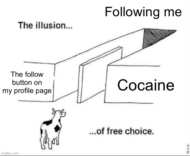 Illusion of free choice | Following me The follow button on my profile page Cocaine | image tagged in illusion of free choice | made w/ Imgflip meme maker