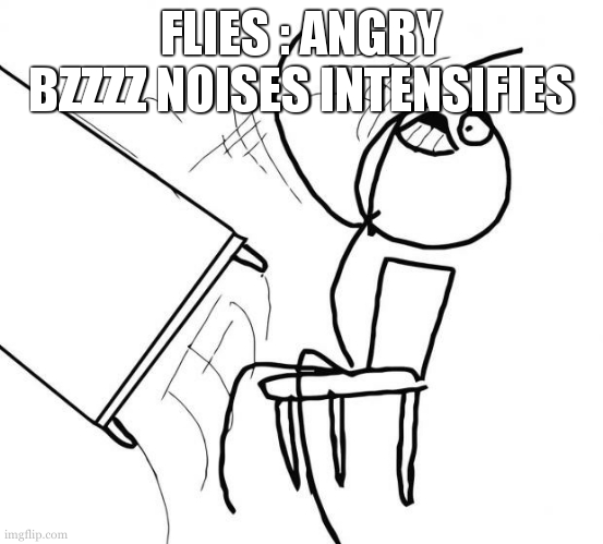 Flip Table | FLIES : ANGRY BZZZZ NOISES INTENSIFIES | image tagged in flip table | made w/ Imgflip meme maker