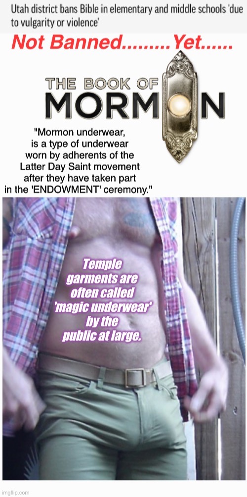 Next....The Book of Mormon | image tagged in censorship,tax them,skid/book marks,dirty filthy books,mitts magic | made w/ Imgflip meme maker