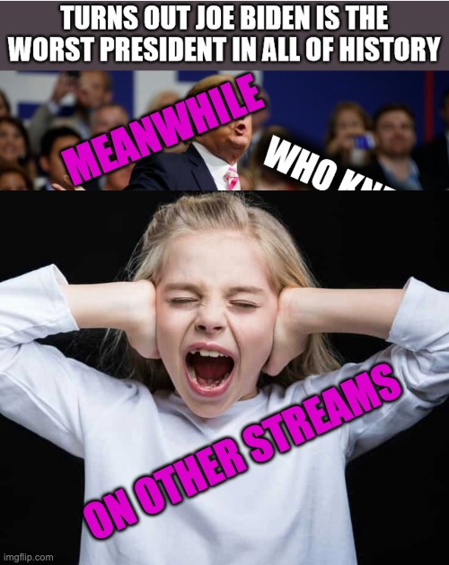 MEANWHILE ON OTHER STREAMS | image tagged in cover ears not listening | made w/ Imgflip meme maker