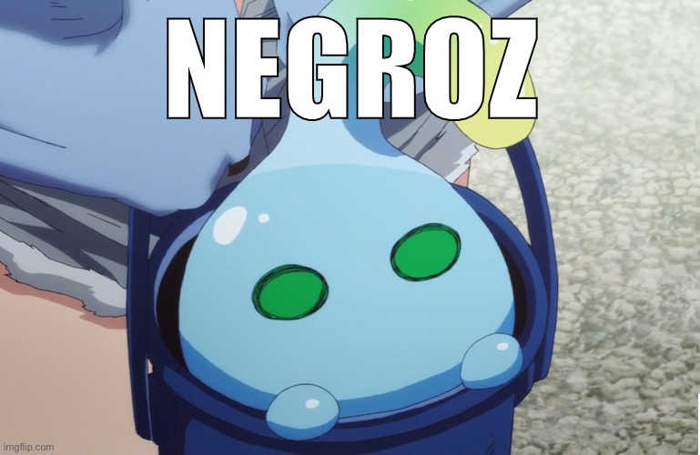 NEGROZ | image tagged in i has a bucket,memes | made w/ Imgflip meme maker