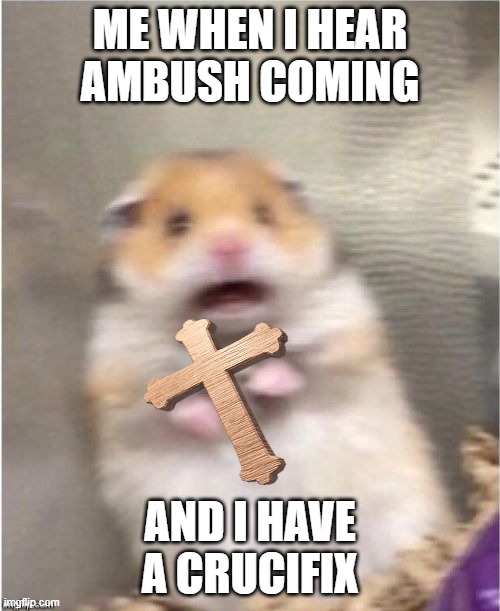 Roblox Doors be like | ME WHEN I HEAR AMBUSH COMING; AND I HAVE A CRUCIFIX | image tagged in scared hamster | made w/ Imgflip meme maker