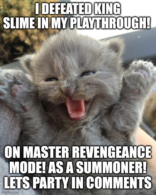 Yay Kitty | I DEFEATED KING SLIME IN MY PLAYTHROUGH! ON MASTER REVENGEANCE MODE! AS A SUMMONER! LETS PARTY IN COMMENTS | image tagged in yay kitty | made w/ Imgflip meme maker