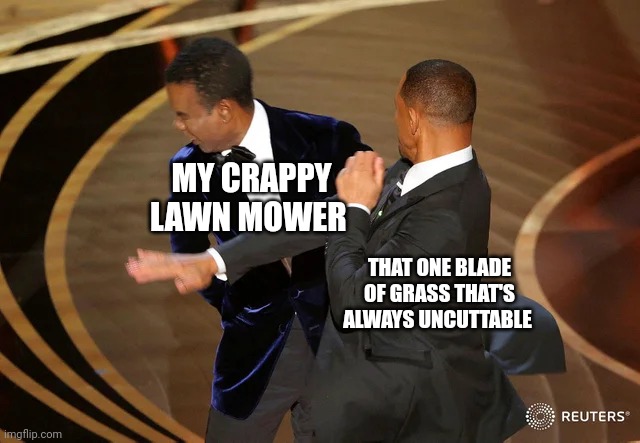 Damn lawn mower! Cut that blade of grass!!! | MY CRAPPY LAWN MOWER; THAT ONE BLADE OF GRASS THAT'S ALWAYS UNCUTTABLE | image tagged in will smith punching chris rock | made w/ Imgflip meme maker