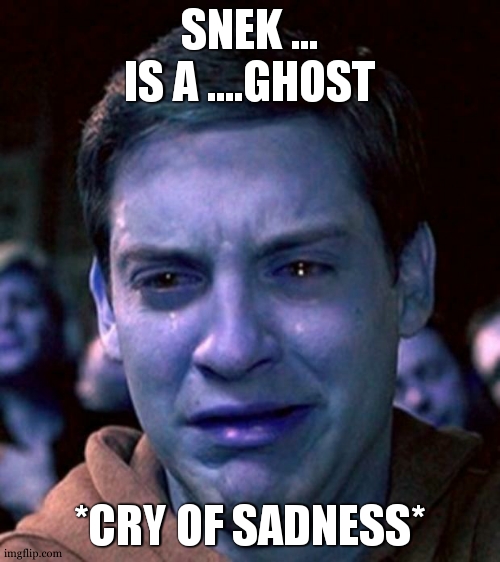crying peter parker | SNEK ... IS A ....GHOST *CRY OF SADNESS* | image tagged in crying peter parker | made w/ Imgflip meme maker