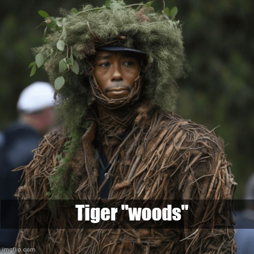 Broooo | Tiger "woods" | image tagged in photoshop,memes,funny,celebrity | made w/ Imgflip meme maker