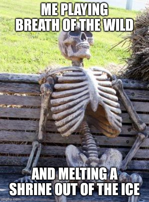Waiting Skeleton | ME PLAYING BREATH OF THE WILD; AND MELTING A SHRINE OUT OF THE ICE | image tagged in memes,waiting skeleton | made w/ Imgflip meme maker